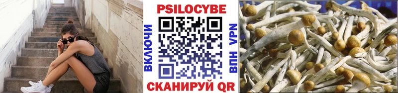 Галлюциногенные грибы Cubensis Инсар